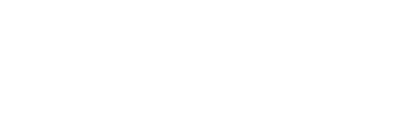 Aegis Corporate Services